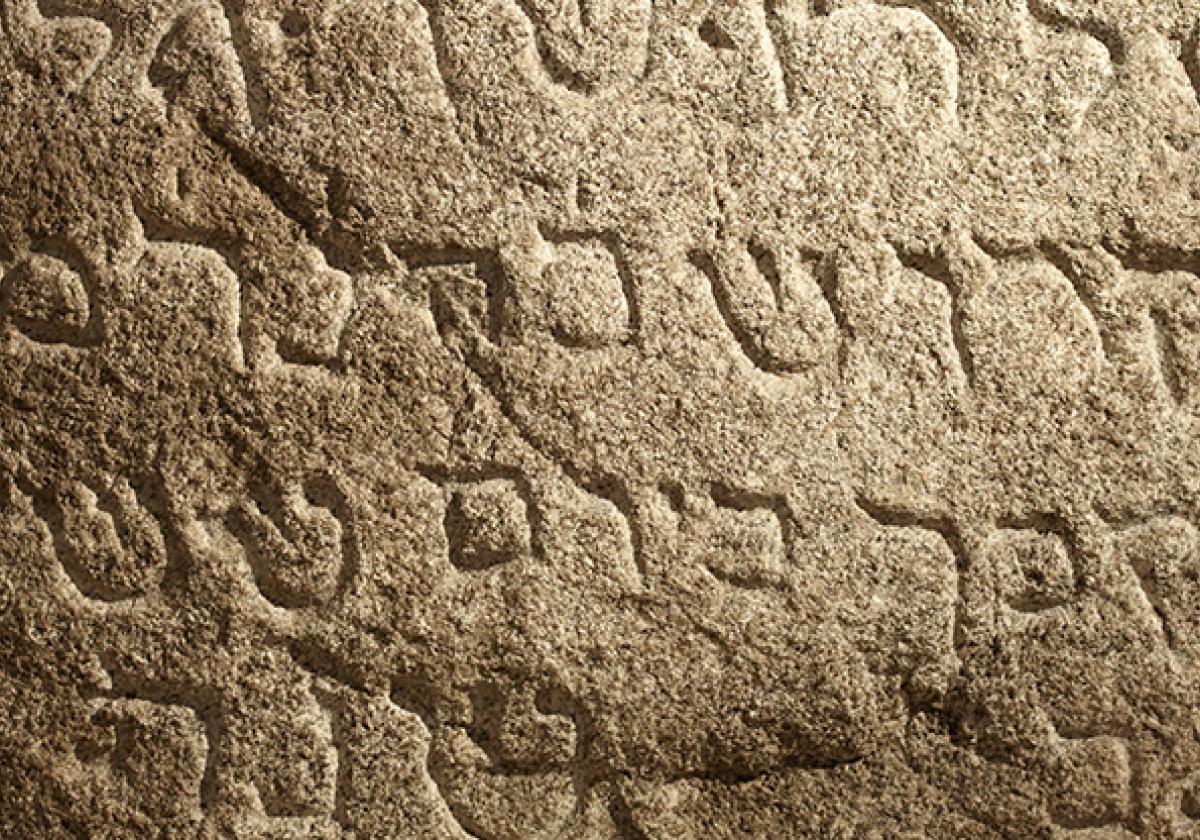 דו-חוגי מובנה בלשון עברית ותולדות ישראל