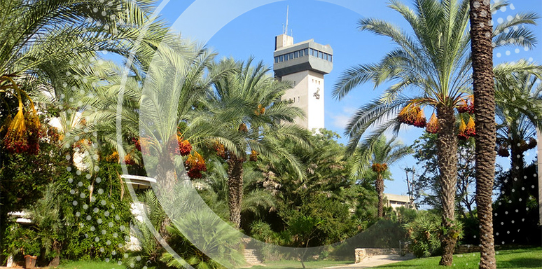 Why Give to Bar-Ilan? | Bar Ilan University