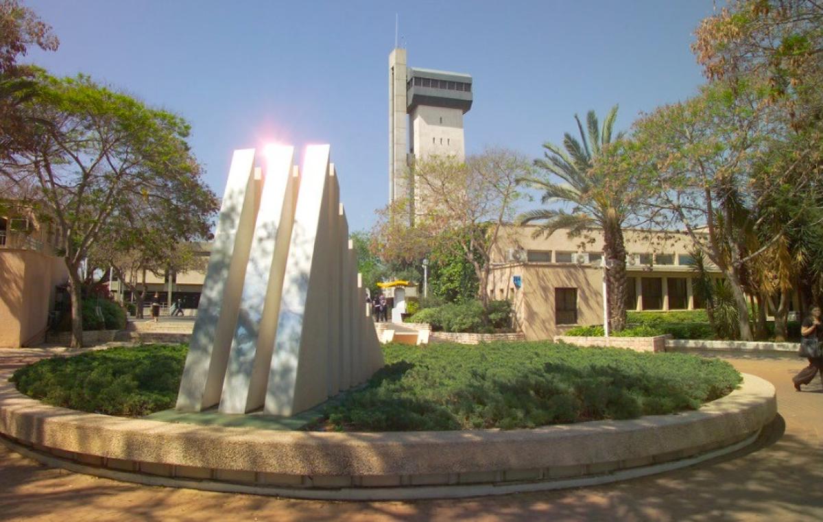 אוניברסיטה