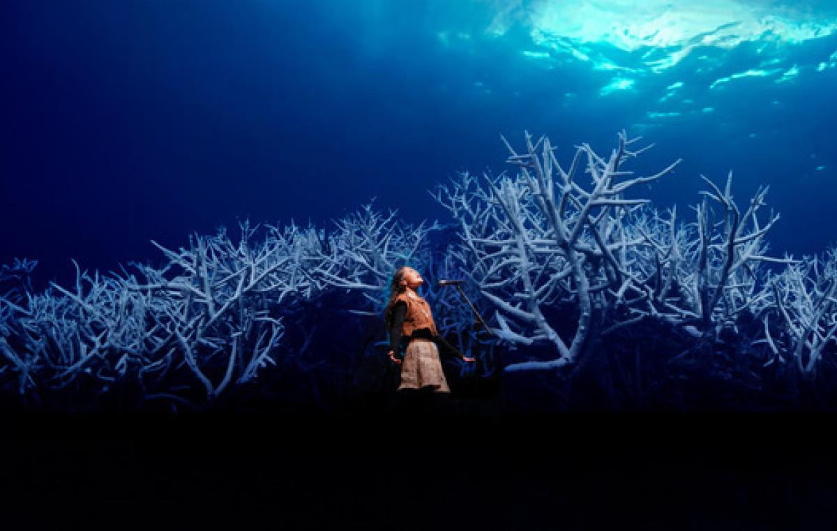 coral reefs