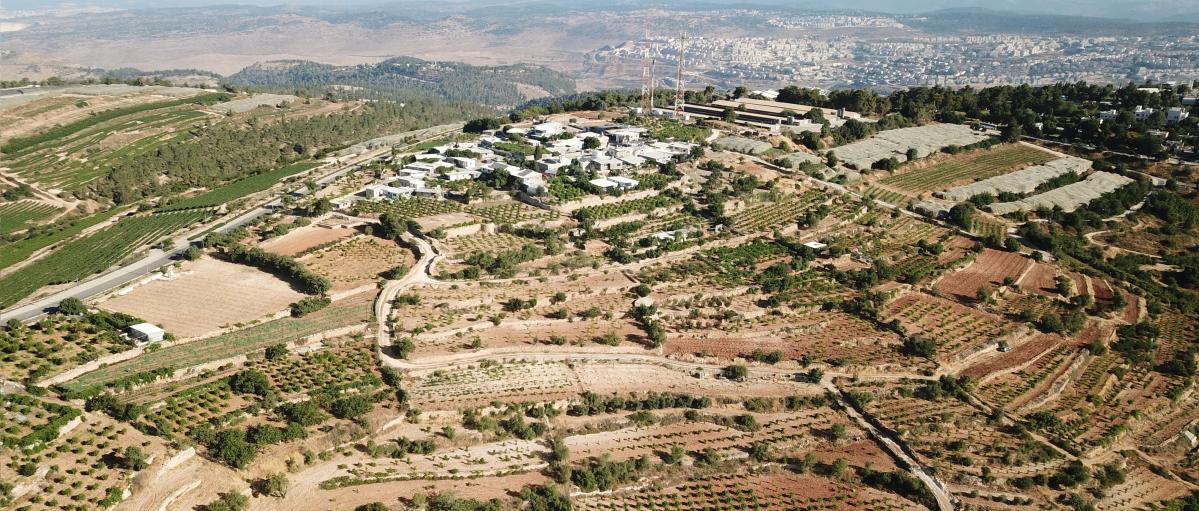 Bird’s-eye view of the hill site looking northwest - photo by Yoram Hofman