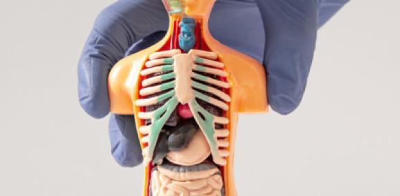 טכנולוגיה פרק #2: עתיד הרפואה בתלת מימד- פרופ' סאמר סרוג'י