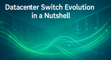 Datacenter switch evolution in a nutshell