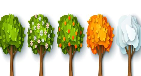 סמינר פקולטטיבי