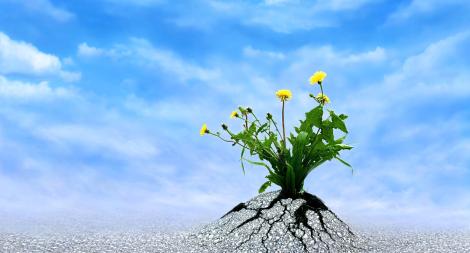 למצוא את הכוח בעיתות משבר