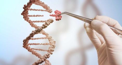 גנטיקה
