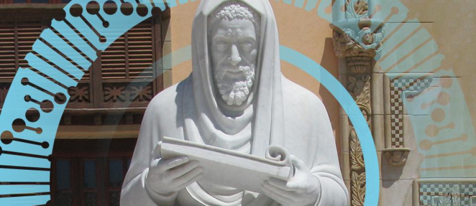 יהודה הלוי