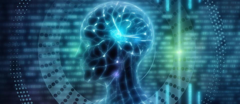 Spotlight_FBPost_Brain_02