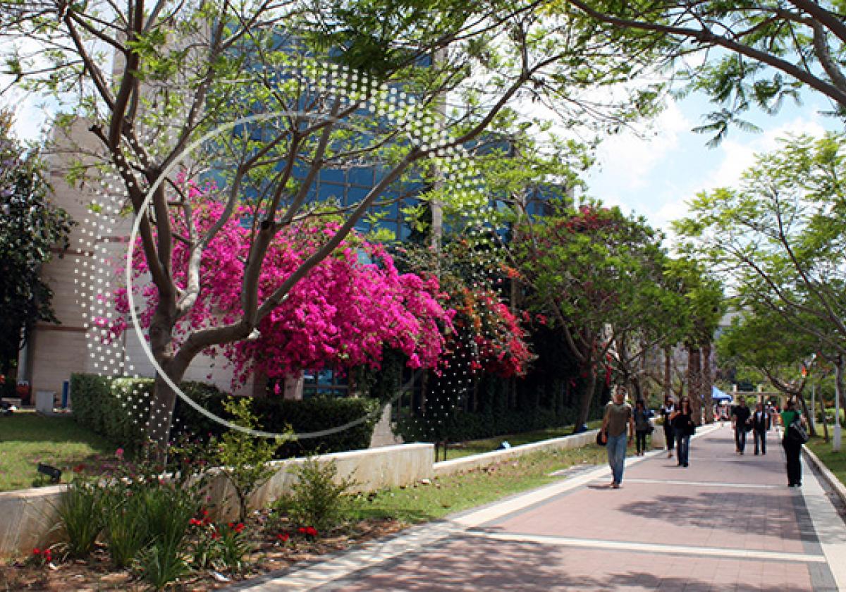 Students on Campus