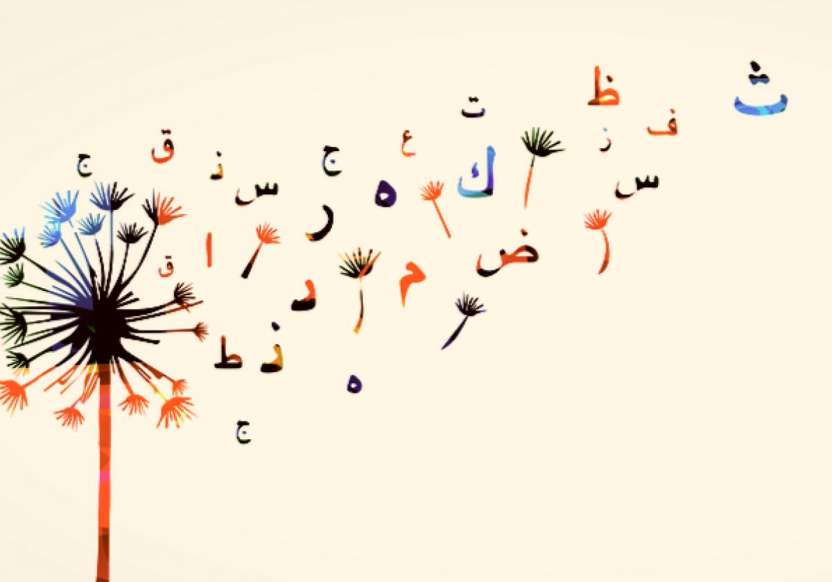 תעודת הוראה בערבית