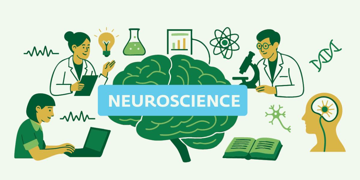 סדרת ארועי המוח לאן