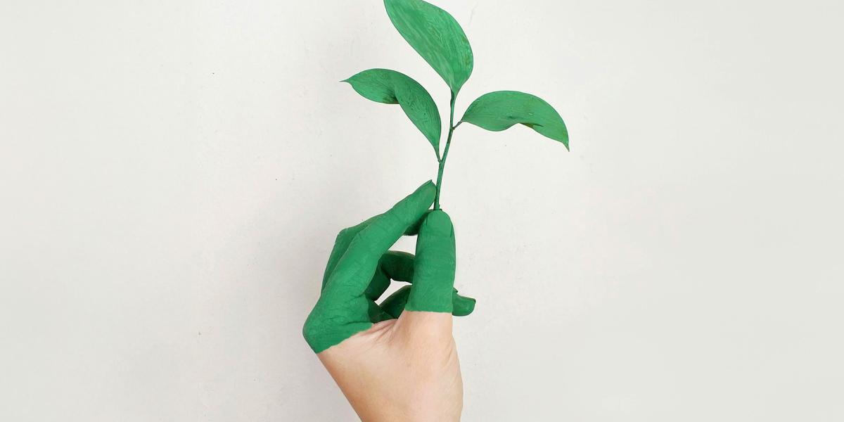 חוסן בעידן של חוסר ודאות