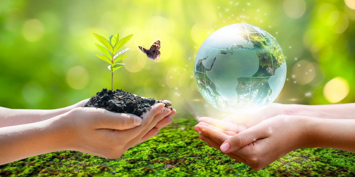 משפט וסביבה