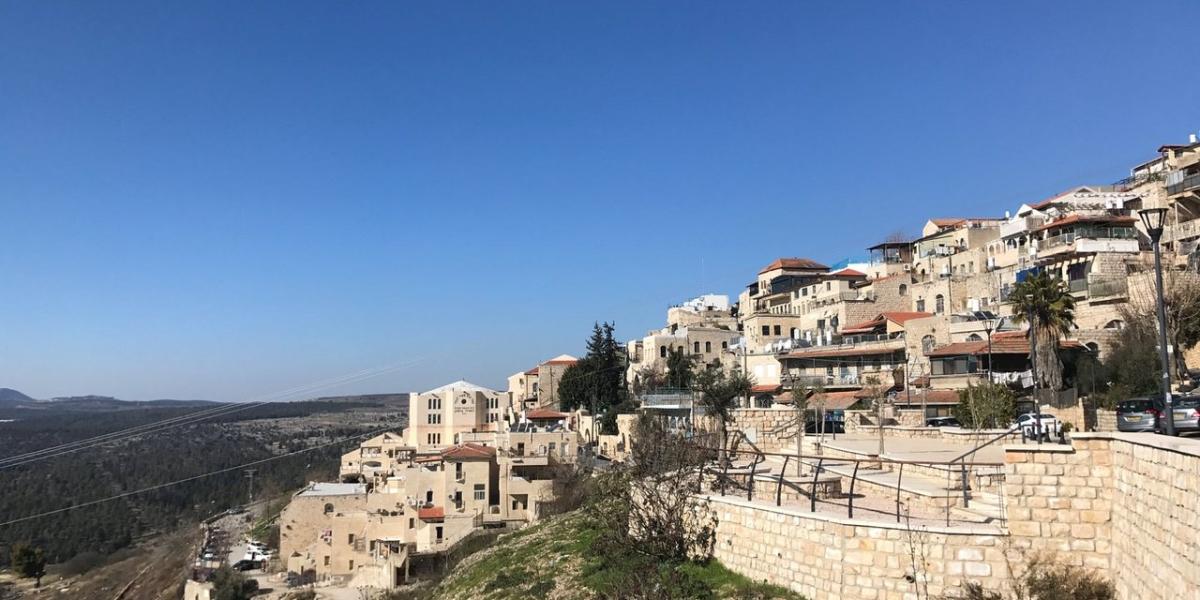 פאנל