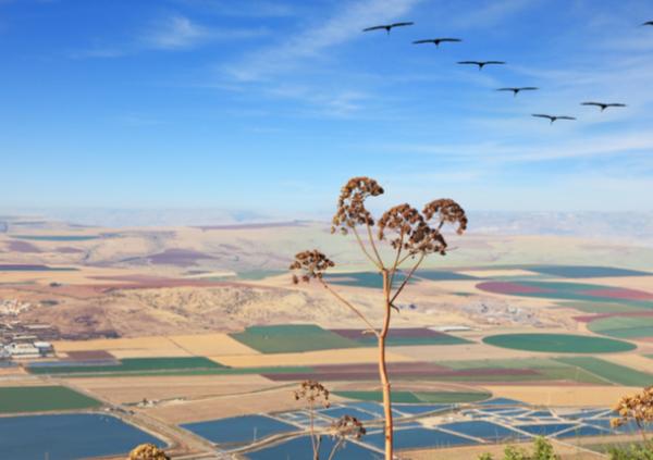 דו-חוגי מובנה בתולדות ישראל עם גיאוגרפיה ולימודי סביבה