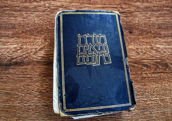 תנ"ך - מסלול מורים